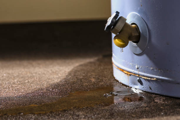 Best 24/7 water damage repair  in Cedar Hill, TX