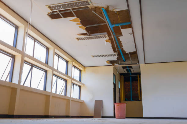 Best Water damage contractors near me  in Cedar Hill, TX