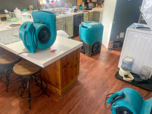 Best Sewage cleanup and water damage restoration  in Cedar Hill, TX