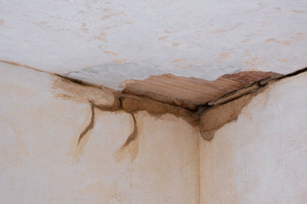 Best Water damage cleanup near me  in Cedar Hill, TX
