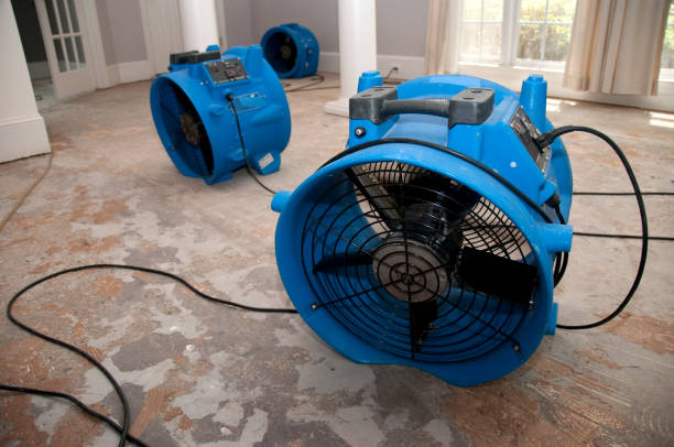 Best Water damage restoration near me  in Cedar Hill, TX