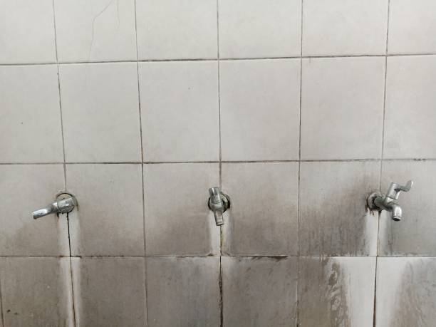 Best Water damage restoration mold remediation  in Cedar Hill, TX