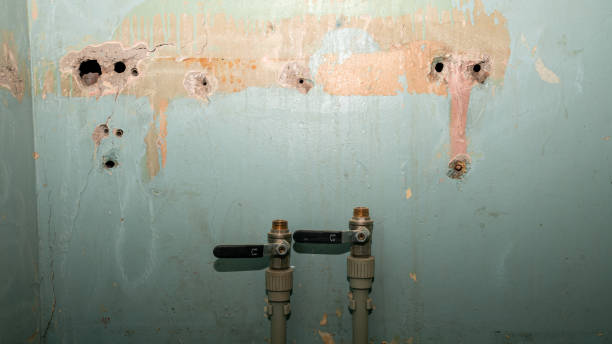 Trusted Cedar Hill, TX Water damage restoration Experts