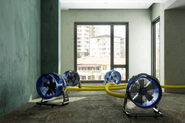 Best Ceiling water damage repair  in Cedar Hill, TX